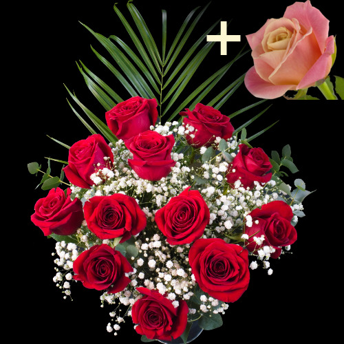 11 Red Roses and single Peach Rose