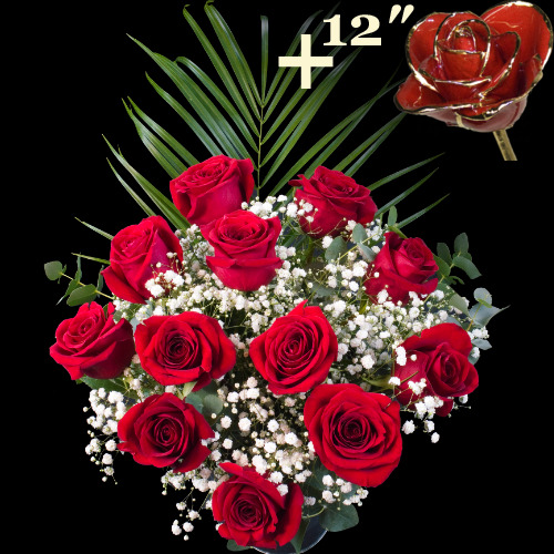 11 Red Roses and single 12Inch Gold Trimmed Red Rose