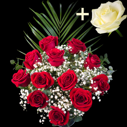11 Red Roses and single White Rose
