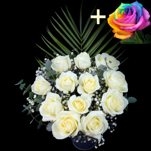11 White Roses and a Happy Rose