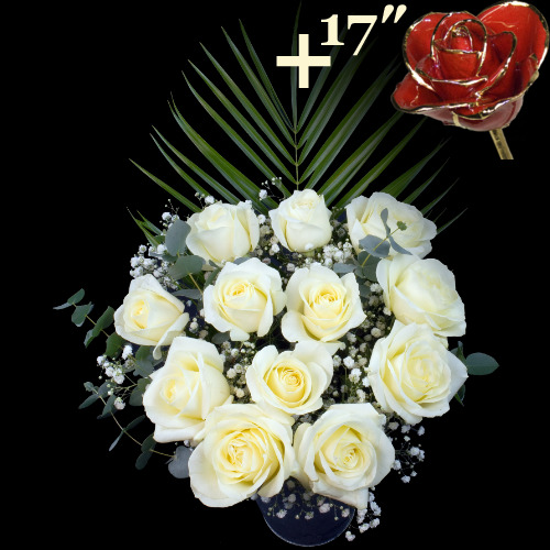 11 White Roses and a 17Inch Gold Trimmed Red Rose