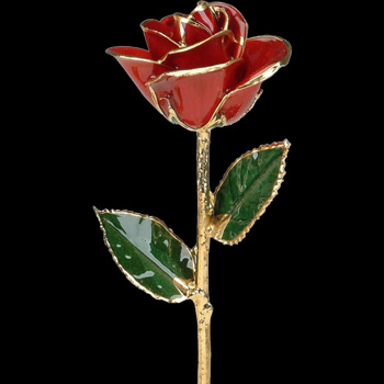A Red 12Inch Gold Trimmed Rose