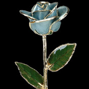 A Light Blue 17Inch Gold Trimmed Rose