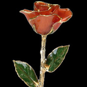 A Light Red 17Inch 24kt Gold Trimmed Rose