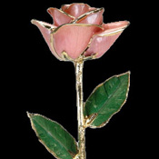 A Pink 17Inch 24kt Gold Trimmed Rose