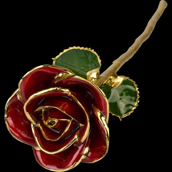 A Red 17Inch 24kt Gold Trimmed Rose