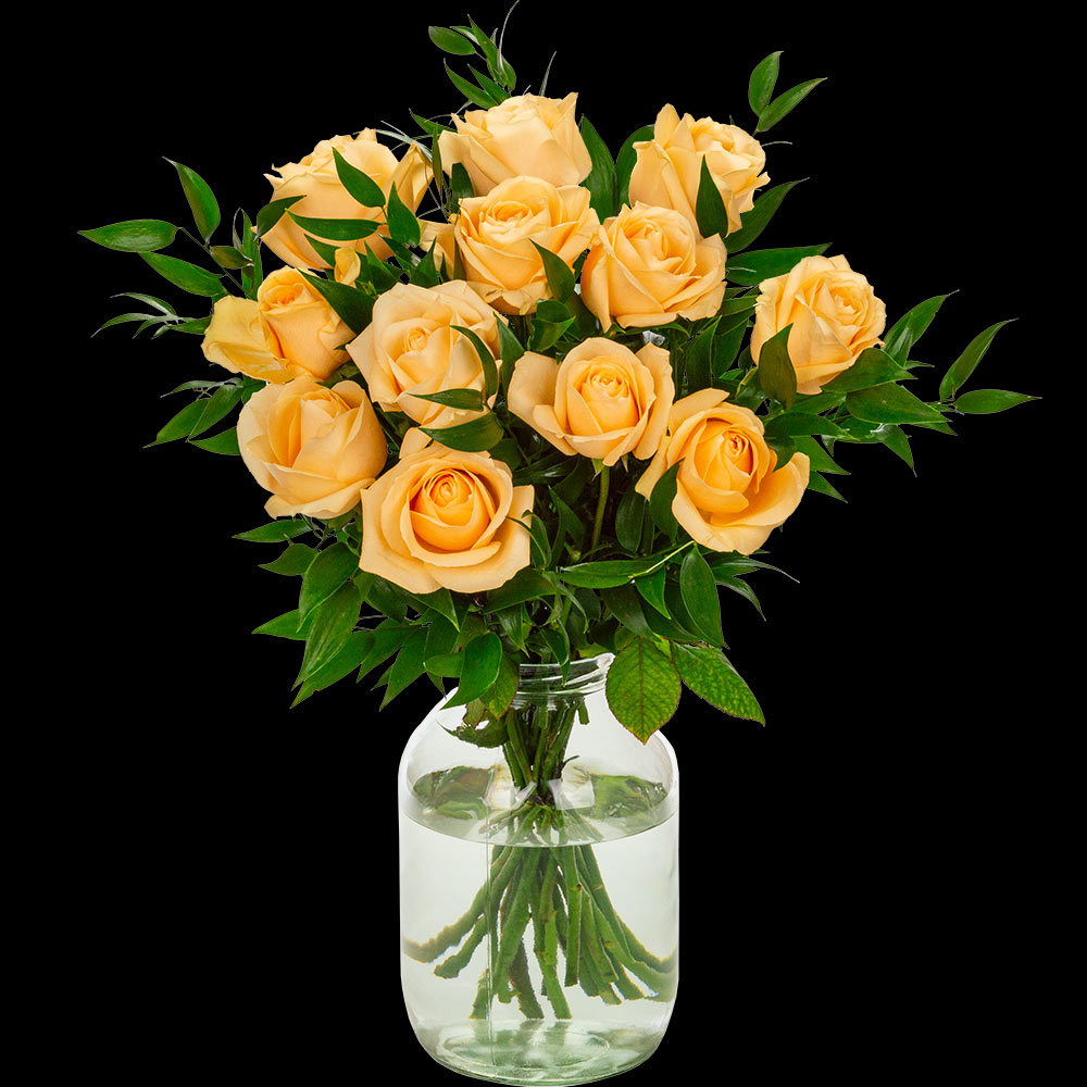 12 Luxury Peach Roses
