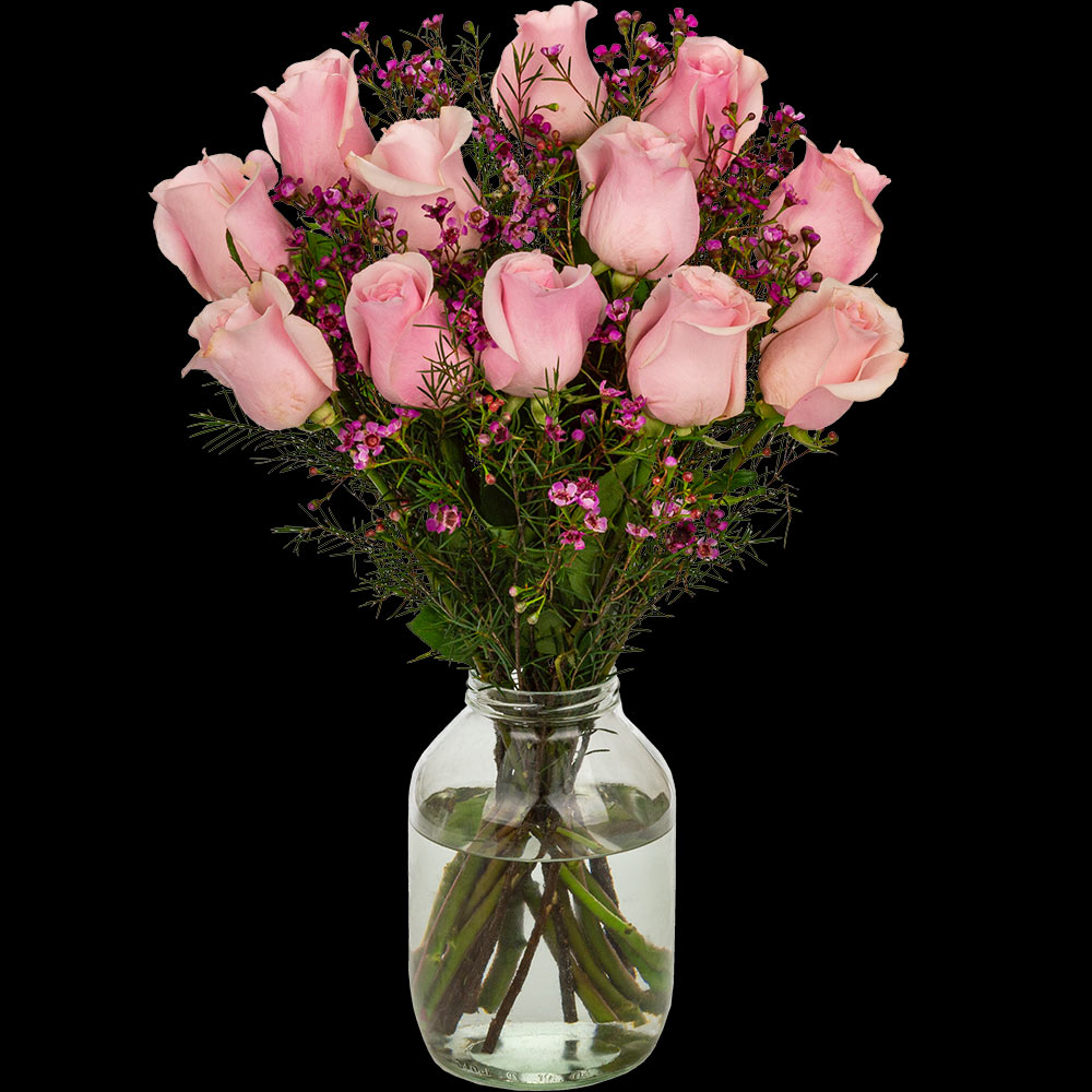 12 Luxury Pink Roses