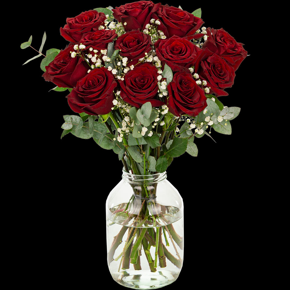 12 Luxury Grand Prix Roses