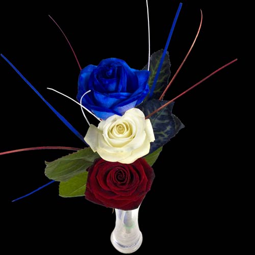 3 Classic Great British Roses