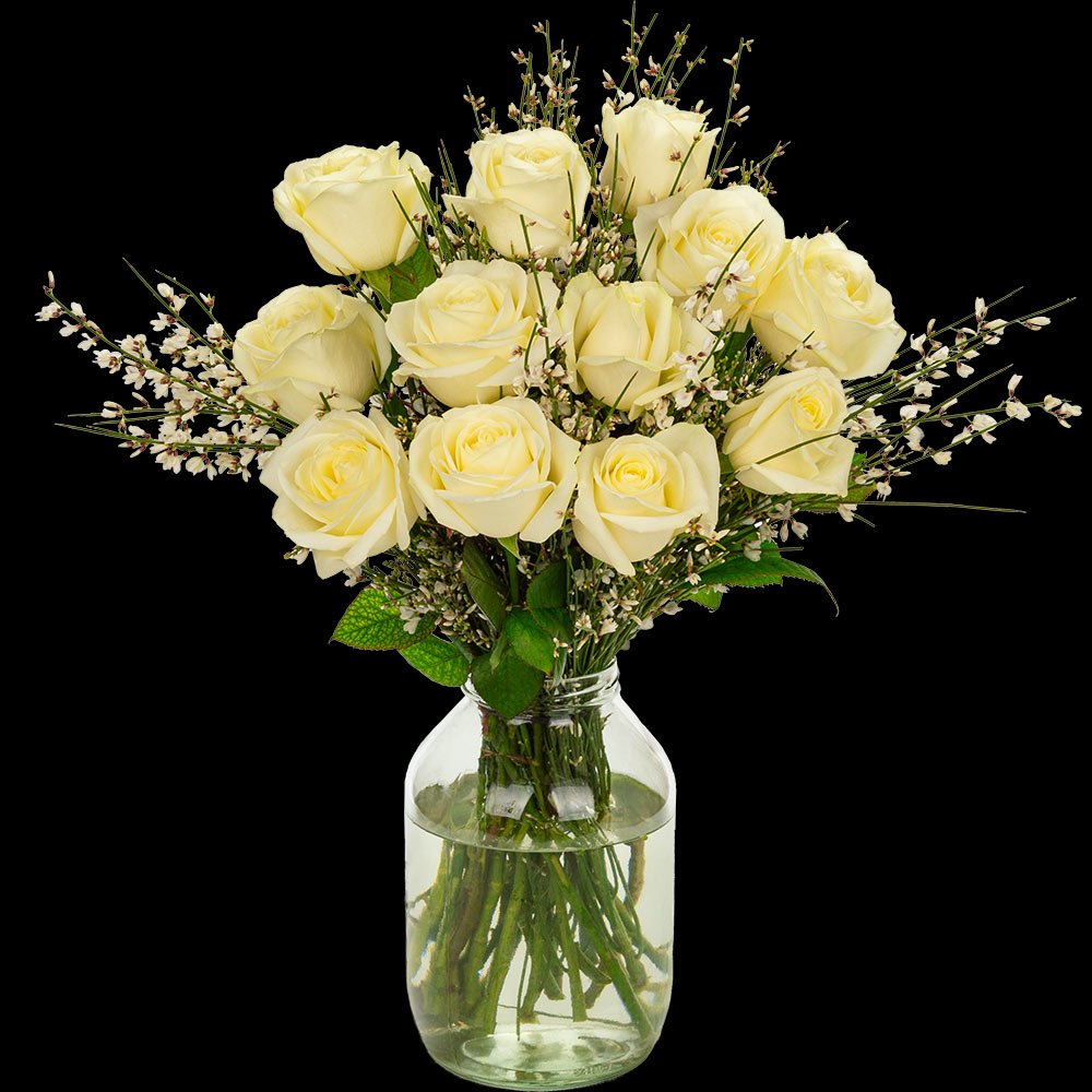 12 Luxury White Roses