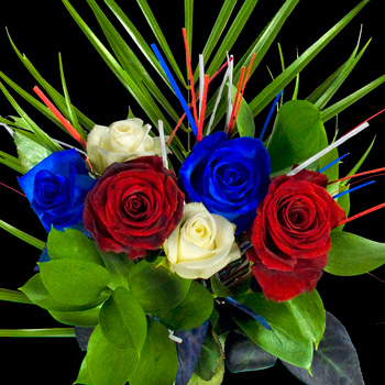 6 Luxury Great British Roses
