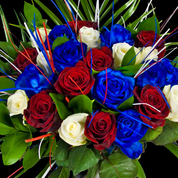 24 Luxury Great British Roses