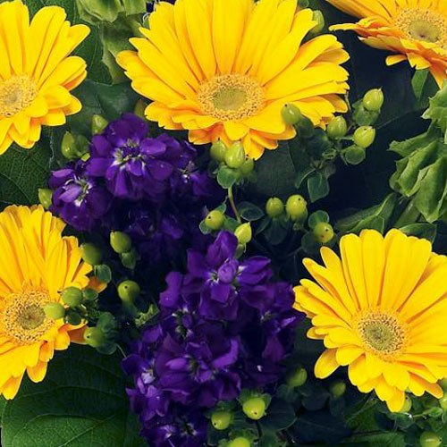 Inky Twinky Bouquet