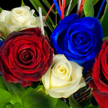 6 Luxury Great British Roses