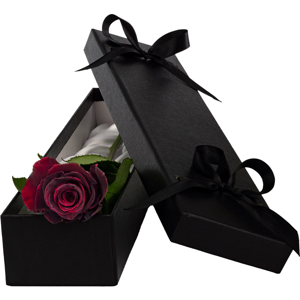 Single Luxury Black Baccara Rose
