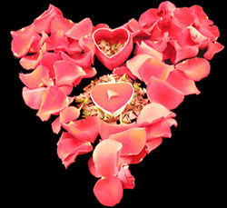 Rose Thorns from the The Thorny Red Rose Thorn Society!