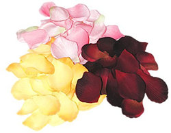 Two Jugs of Freshly Hand Picked Rose Petals in the colour or colours of your choice