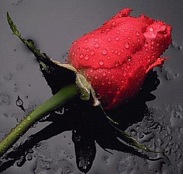 I believe in a thing called love because Its the only thing that will make you give up everything and travel that extra mile. Just to make that special one you love, smile