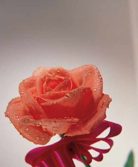 27 Roses in the colour or variety of your choice hand tied in a luxury bouquet by a real florist