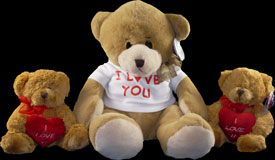 A Selection of our Teddy Bears