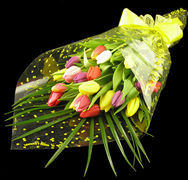 Bouquet of Tulips