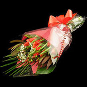 24 Roses in the colour or variety of your choice hand tied in a luxury bouquet by a real florist