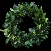 Undecorated Christmas Door Holly Wreath