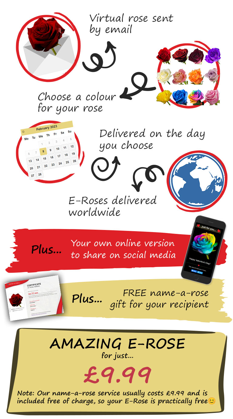 E-Roses from the only dedicated worldwide rose delivery service | interROSE