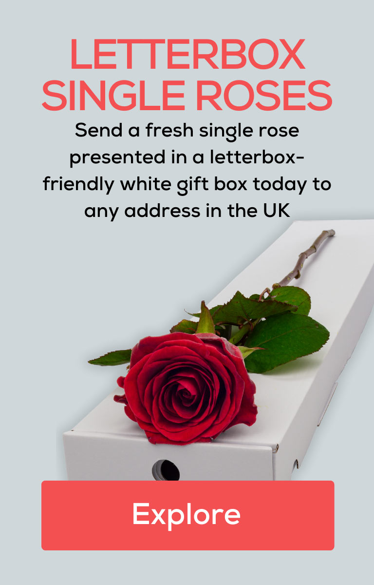 Check out our range of letterbox-friendly roses