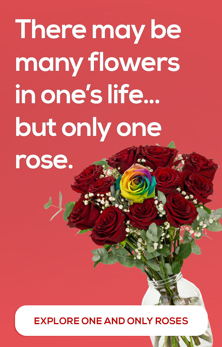 Rose Delivery at its finest | Free name-a-rose gift | interROSE