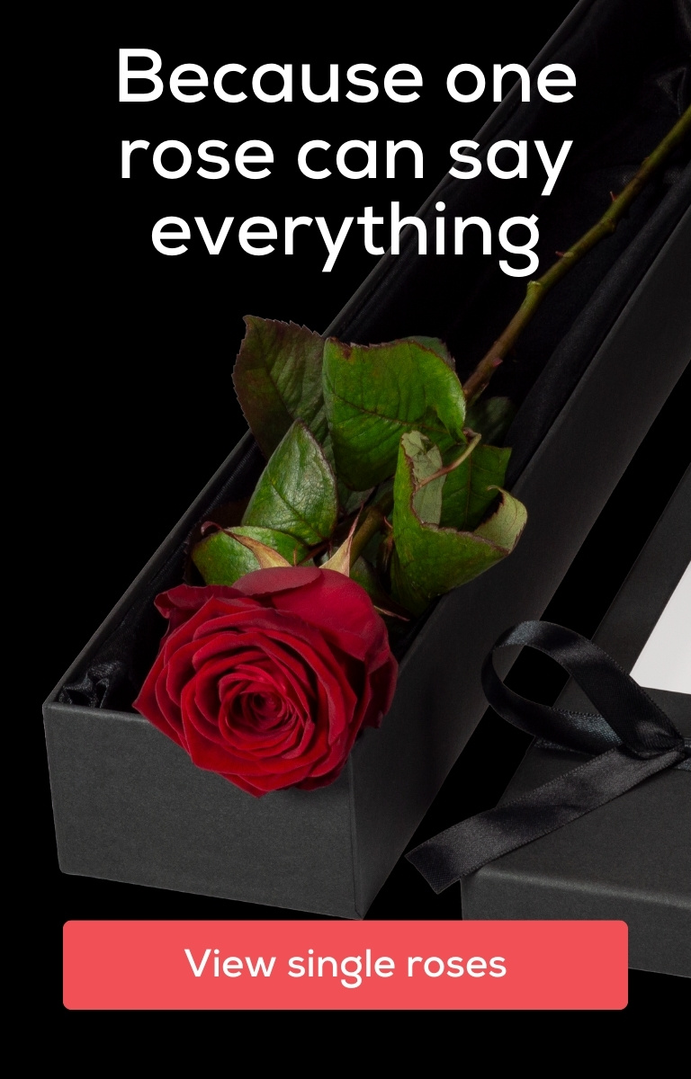Oner Roses Interrose - Roses Chosen With Care for Moments that Matter