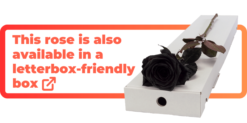 These black roses are also available in a letterbox-friendly box.