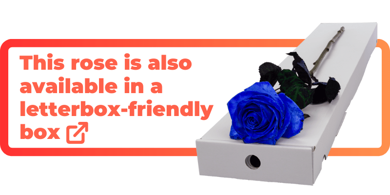 These blue roses are also available in a letterbox-friendly box.