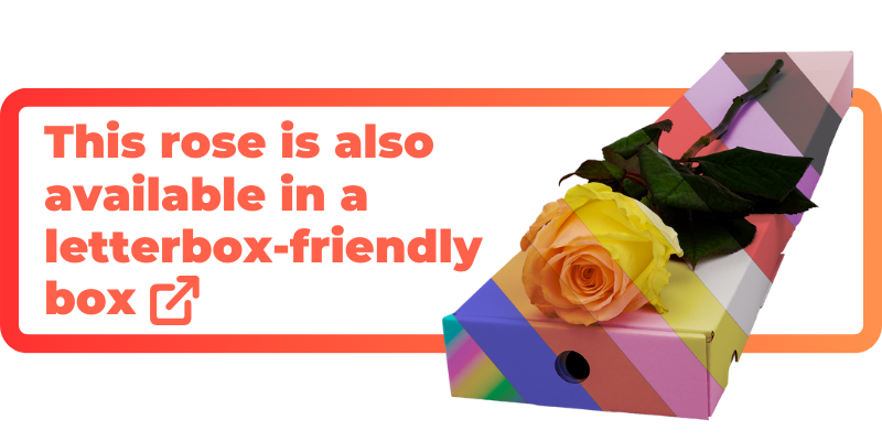 These customised roses are also available in a letterbox-friendly box.
