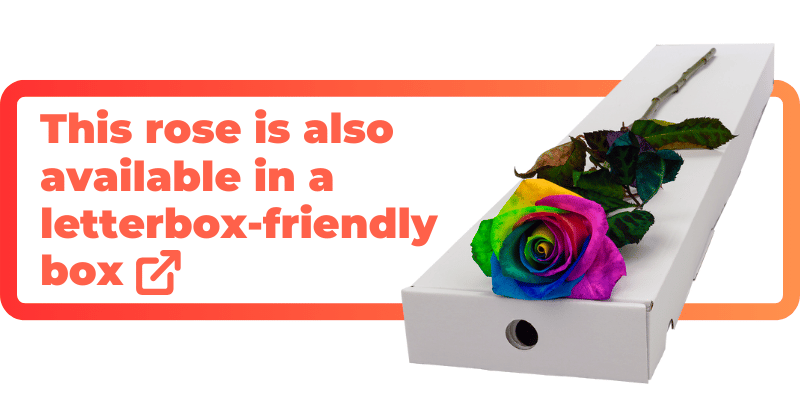 These happy rainbow roses are also available in a letterbox-friendly box.