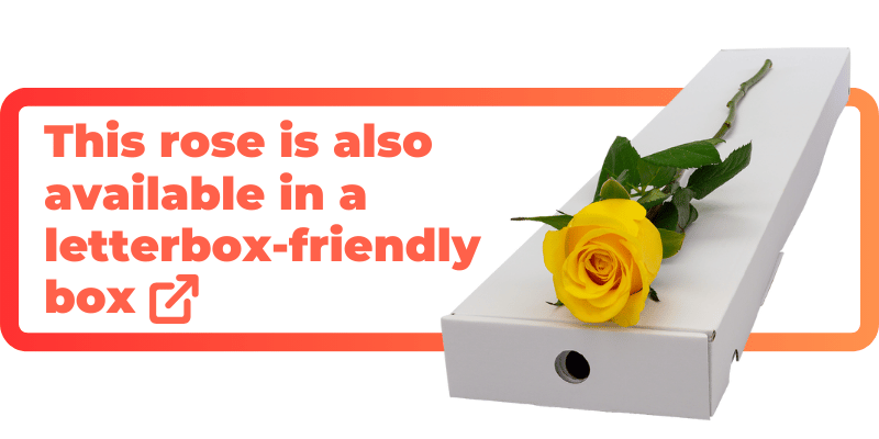 These yellow roses are also available in a letterbox-friendly box.