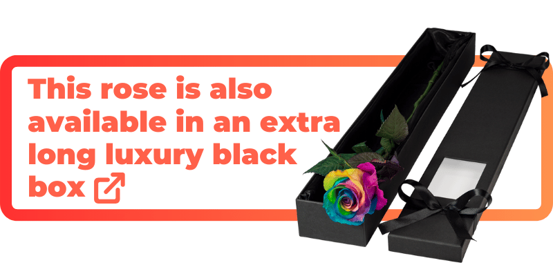 These happy rainbow roses are also available in an extra luxury black box.