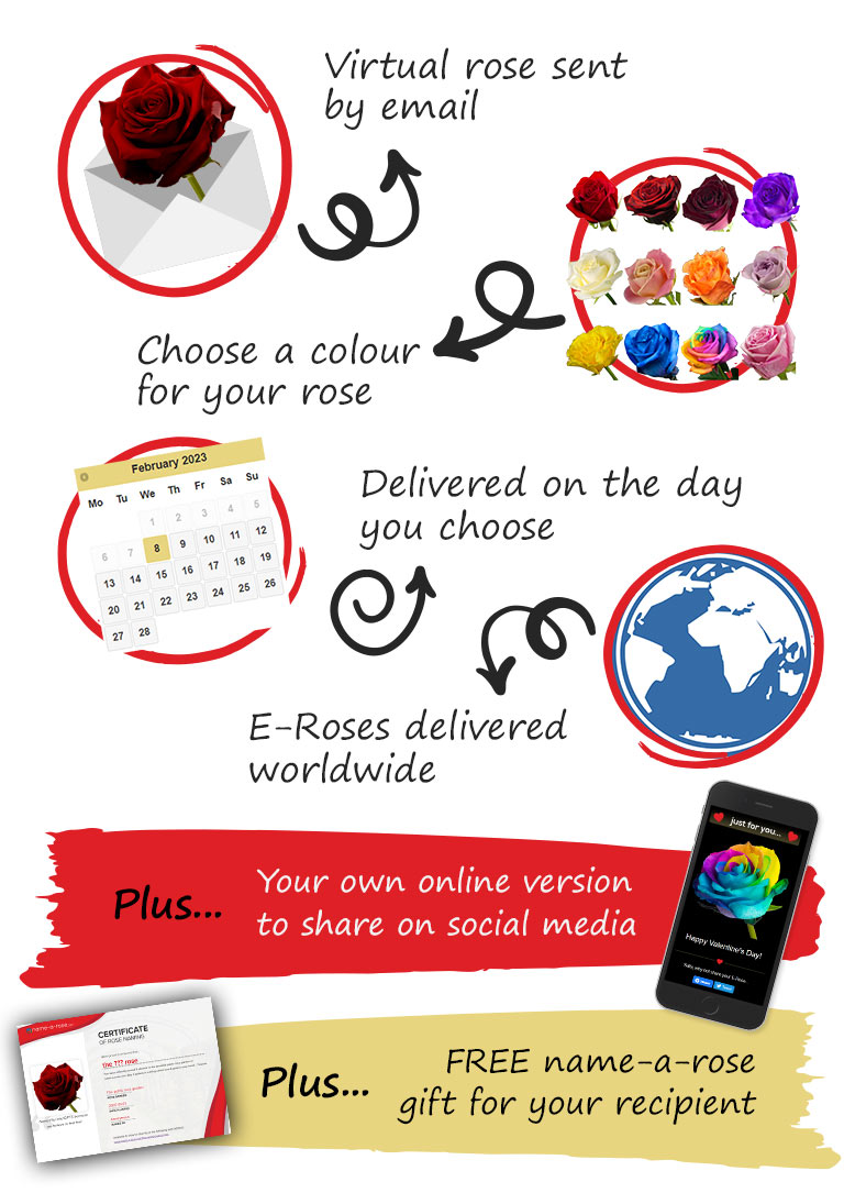 What's included with your E-Rose?