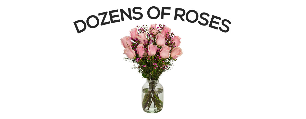 Six Dozen Roses