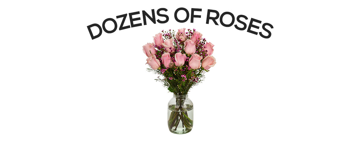 Eight Dozen Roses