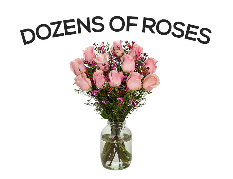 Six Dozen Roses