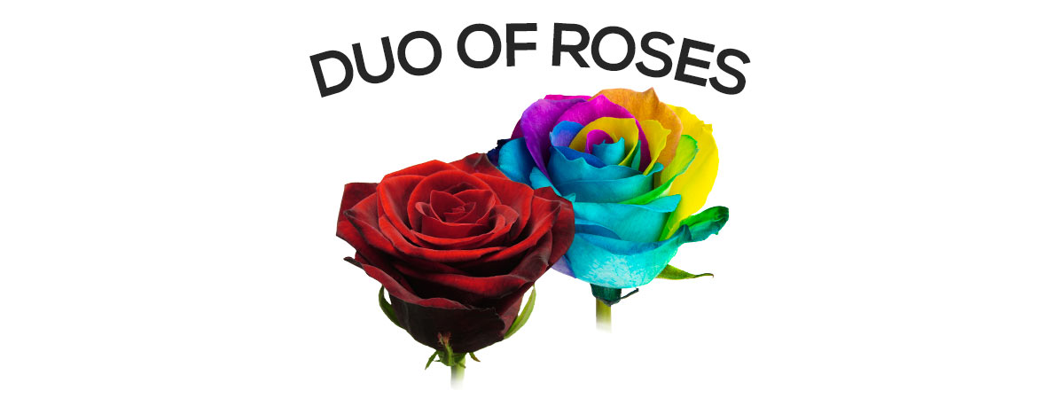 Send a single rose