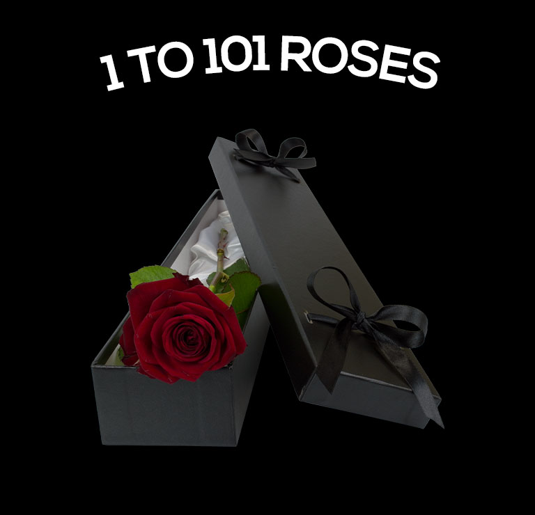 Send singles, duos & trios of roses