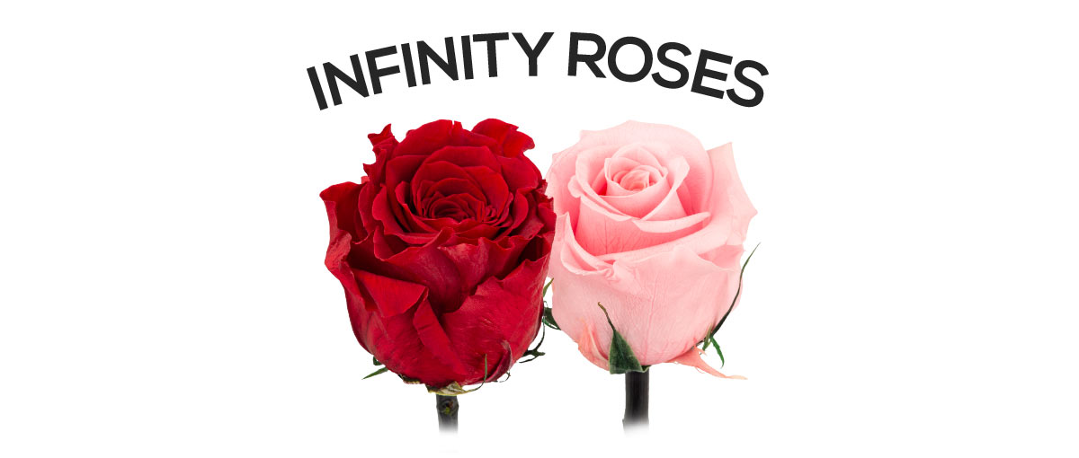 Send an infinity rose
