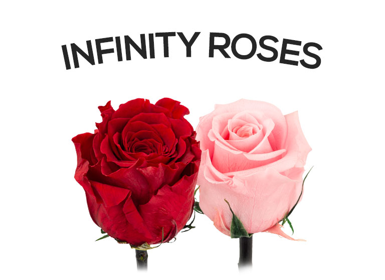 Send an infinity rose