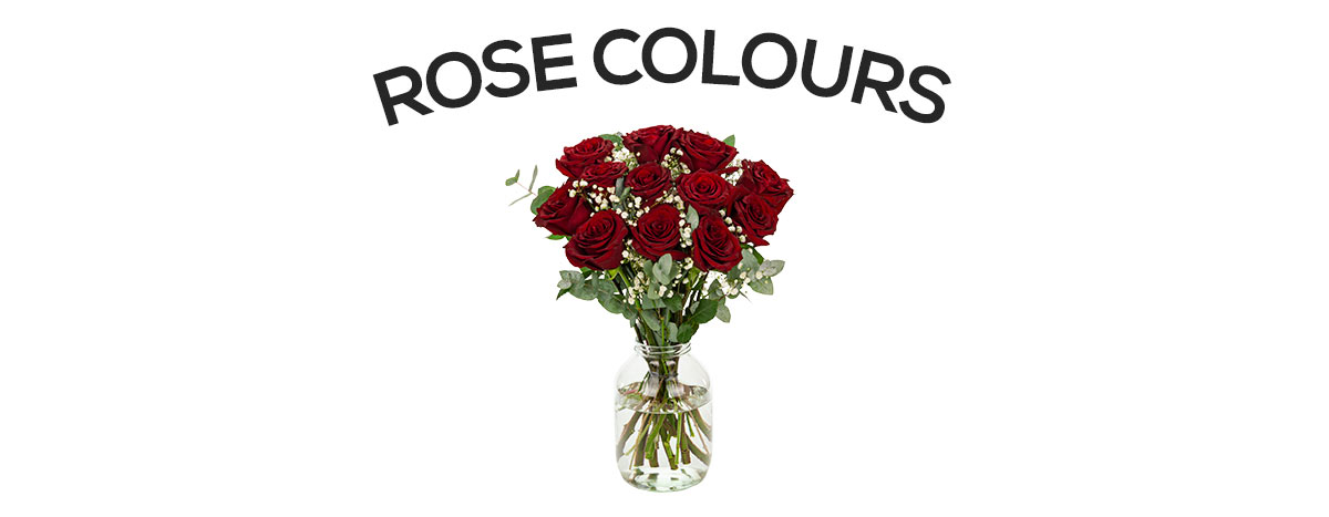 Our range of rose colours and varieties