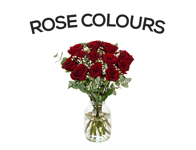 Our range of rose colours and varieties