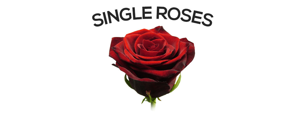 Send a single rose
