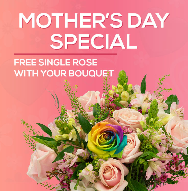 Send Pink Roses Fresh Rose Delivery Send Stunning Roses